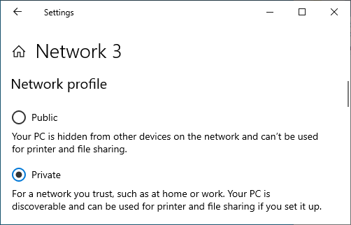 Screenshot of the Windows 'Network Status > Properties' panel showing the private network as active